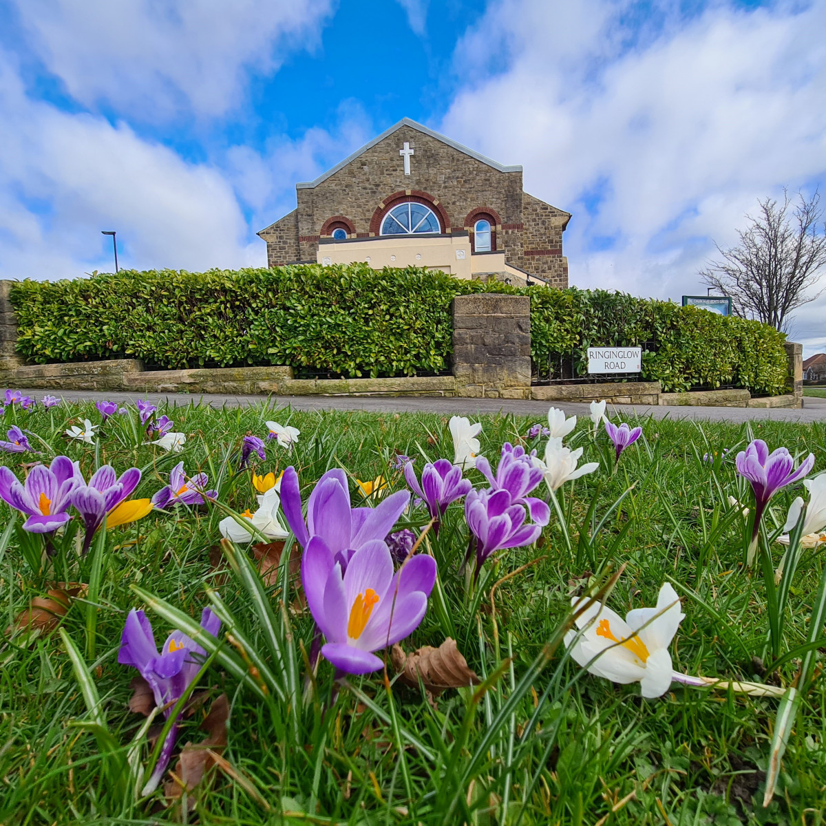 Photo of church with flower